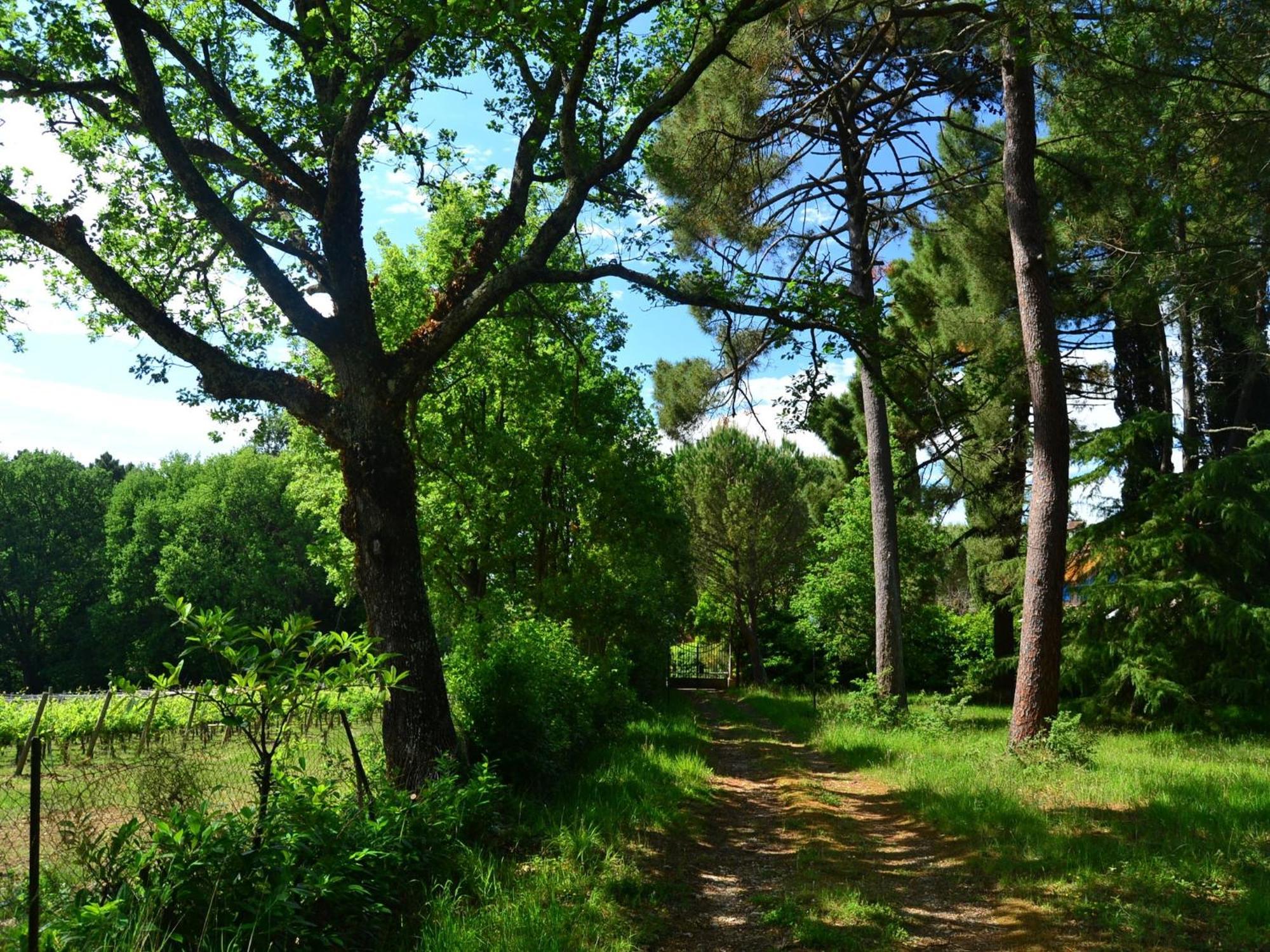 Lovely Holiday Home In Montefiridolfi With Hill View Esterno foto