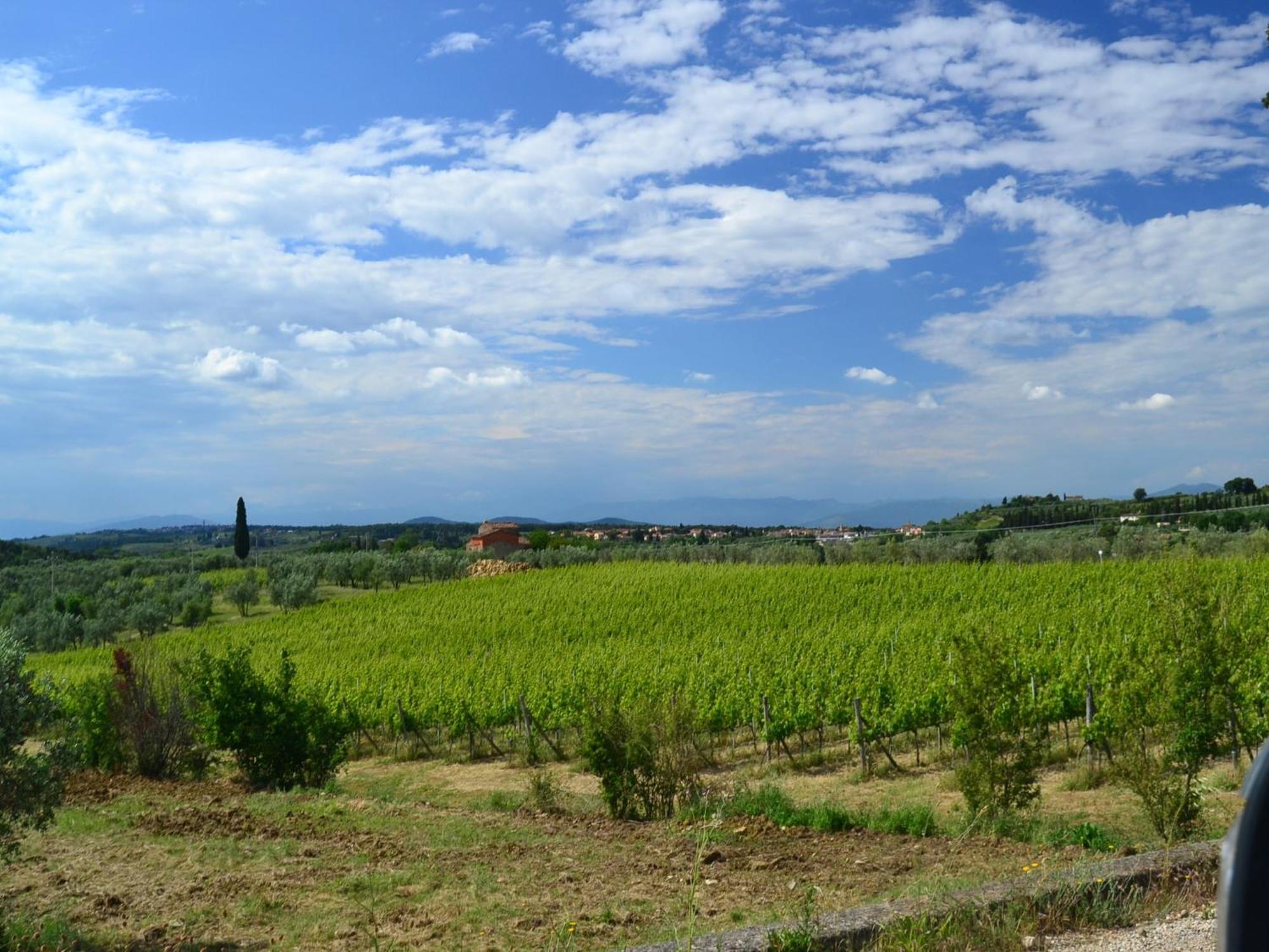 Lovely Holiday Home In Montefiridolfi With Hill View Esterno foto