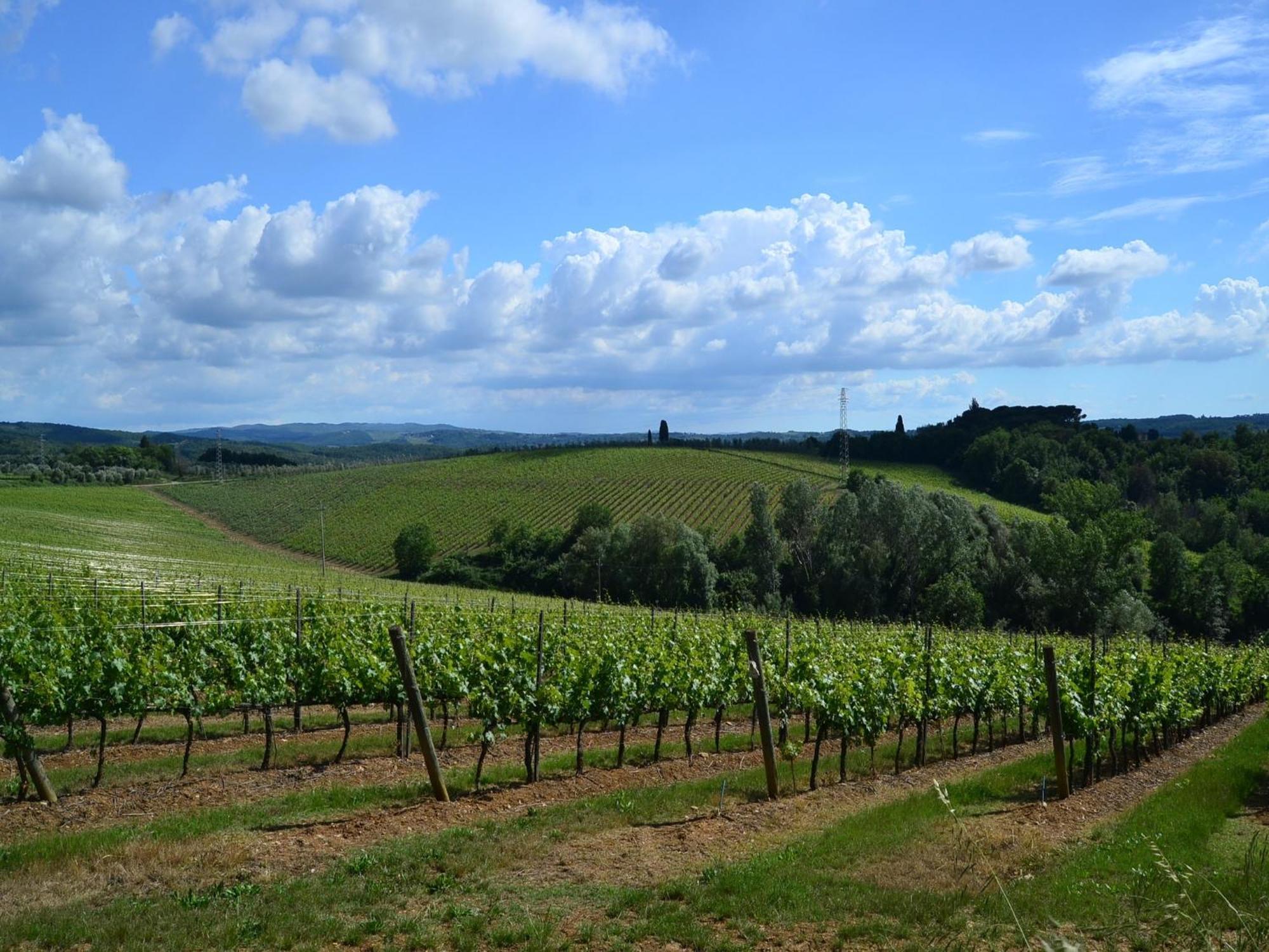 Lovely Holiday Home In Montefiridolfi With Hill View Esterno foto