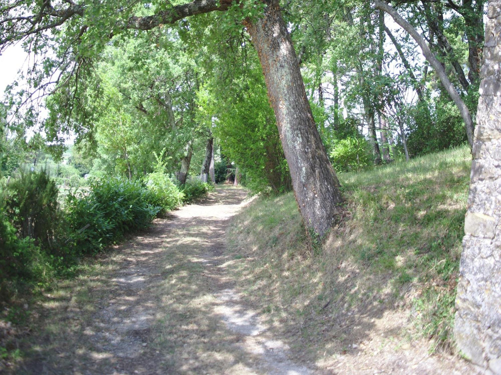 Lovely Holiday Home In Montefiridolfi With Hill View Esterno foto